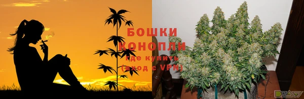ПСИЛОЦИБИНОВЫЕ ГРИБЫ Абаза