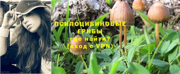 ПСИЛОЦИБИНОВЫЕ ГРИБЫ Абаза