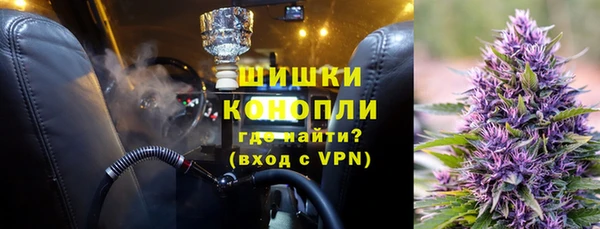 ПСИЛОЦИБИНОВЫЕ ГРИБЫ Абаза